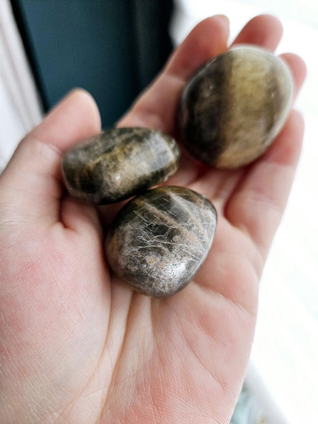 Black Moonstone Tumbles - Protection & Intuition Crystals | Esoteric Roots