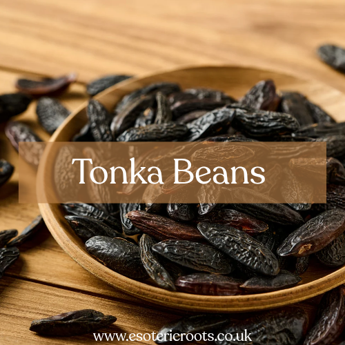 Tonka Beans 10g - Love Magic & Wish Spells | Esoteric Roots