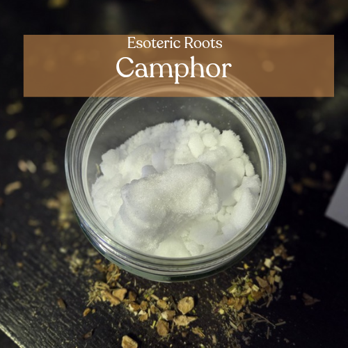 Camphor | Purification & Protection | Esoteric Roots