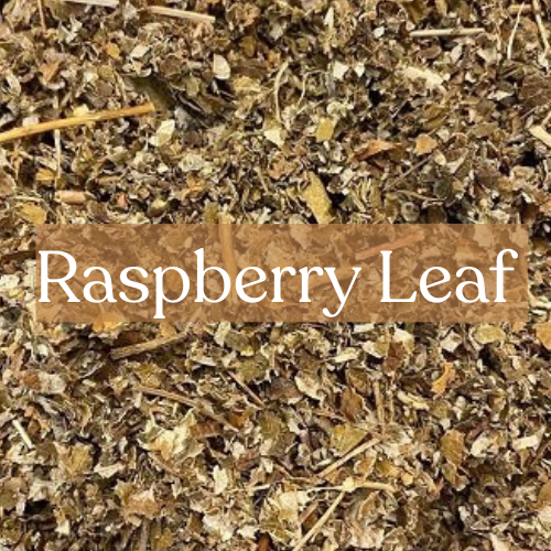 Raspberry Leaf - Fertility & Protection Magic | Esoteric Roots