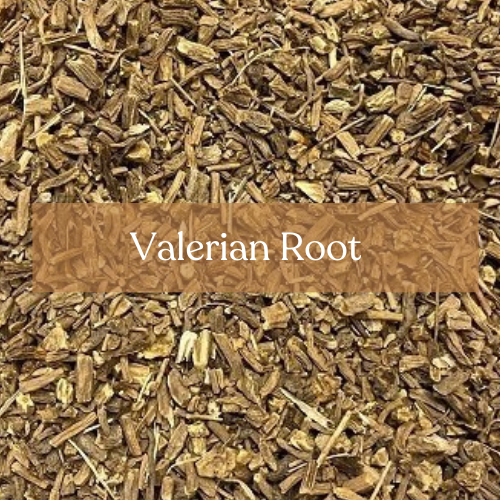 Valerian Root - Sleep Magic & Dream Work | Esoteric Roots