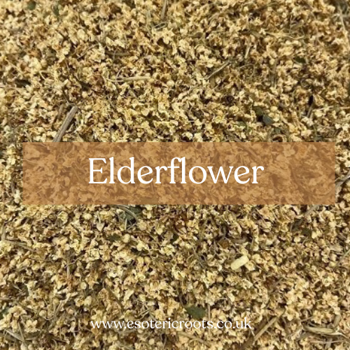 Dried Elderflower - Love Magic & Fae Connection | Esoteric Roots