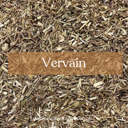 Vervain - Sacred Herb for Protection & Love Magic | Esoteric Roots