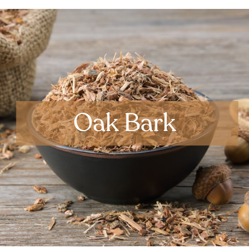 Sacred Oak Bark - Strength & Protection Magic | Esoteric Roots