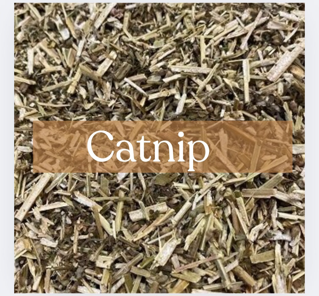 Catnip - Love Magic & Happiness Spells | Esoteric Roots