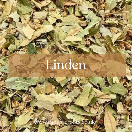 Linden - Love Magic & Peace Spells | Esoteric Roots