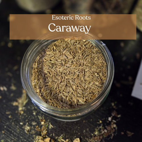 Caraway Seeds | Protection & Fidelity | Esoteric Roots