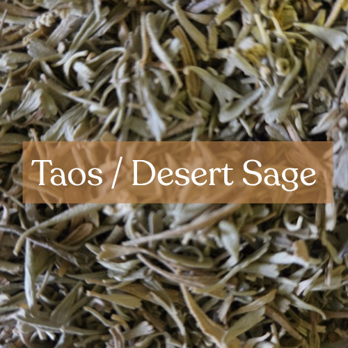 Taos Desert Sage - Cleansing & Purification Magic | Esoteric Roots
