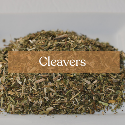 Cleavers - Binding & Protection Magic | Esoteric Root