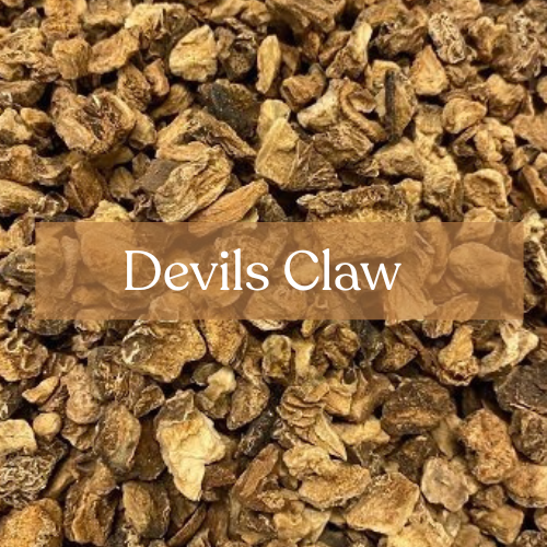 Devil's Claw 30g - Banishing & Protection Magic | Esoteric Roots