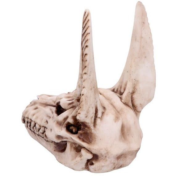 Anubis Skull Egyptian God