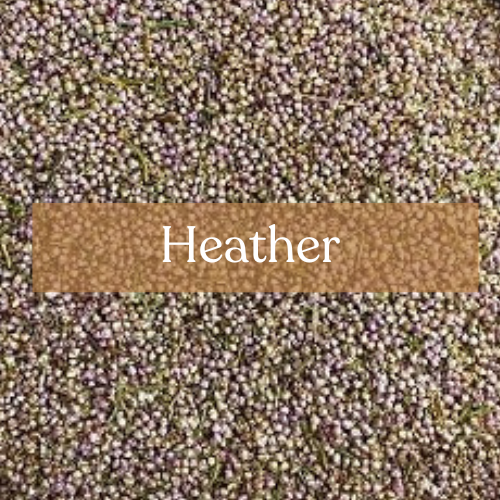 Heather Flowers - Protection & Good Fortune Magic | Esoteric Roots