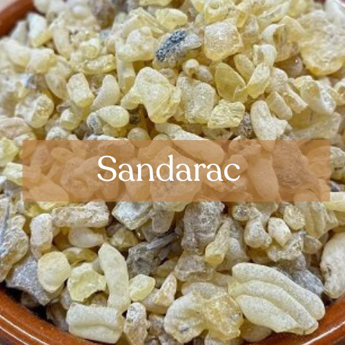 Sacred Sandarac 40g - Protection & Purification Magic | Esoteric Roots
