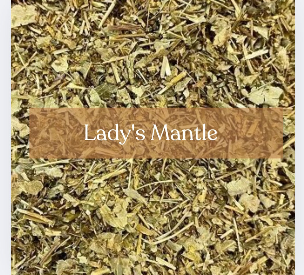 Lady's Mantle - Women's Magic & Protection Spells | Esoteric Roots