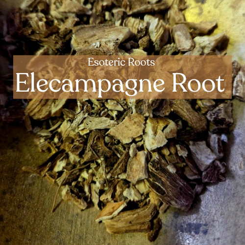 Elecampane Root - Love Magic and Protection Spells | Esoteric Roots