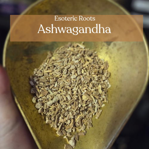 Ashwagandha Root | Strength & Protection | Esoteric Roots
