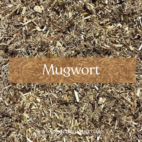 Black Sage Mugwort - Psychic Magic & Dream Work | Esoteric Roots
