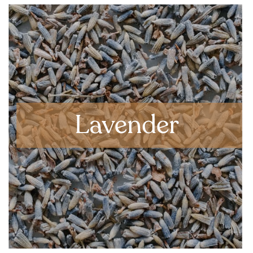 Lavender - Peace & Healing Magic | Esoteric Roots