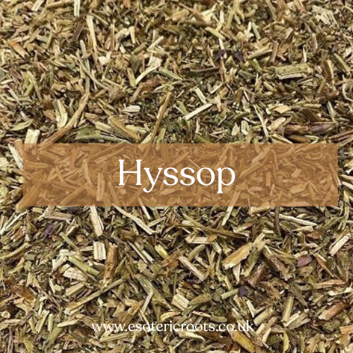 Hyssop - Purification & Protection Magic | Esoteric Roots