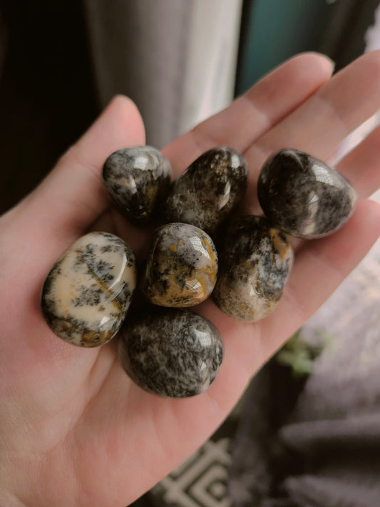 Merlinite Tumble ( Dendritic Agate) Dark
