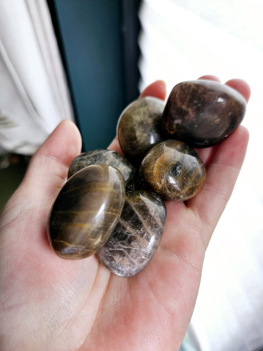 Black Moonstone Tumbles - Protection & Intuition Crystals | Esoteric Roots