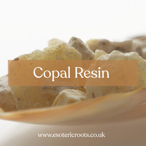 Copal Incense Resin 50g