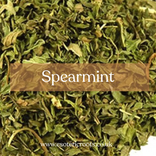 Spearmint - Love Magic & Mental Clarity | Esoteric Roots