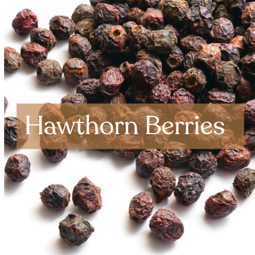 Dried Hawthorn Berries - Love Magic & Heart Healing | Esoteric Roots