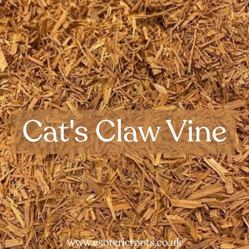 Cat's Claw 25g - Protection & Strength Magic | Esoteric Roots