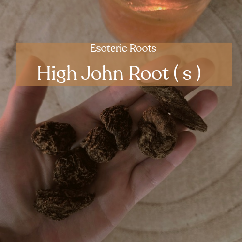High John the Conqueror - Power & Success Magic | Esoteric Roots