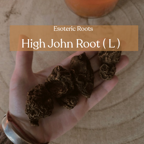 High John the Conqueror - Power & Success Magic | Esoteric Roots