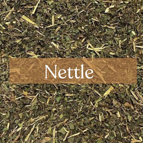 Nettle Egyptian - Protection & Courage Magic | Esoteric Roots