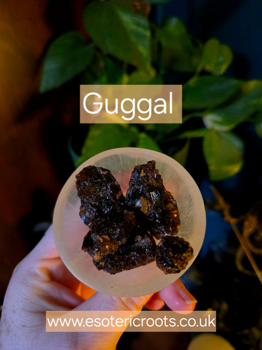 Guggal Resin for Purification & Protection | Esoteric Roots 25g