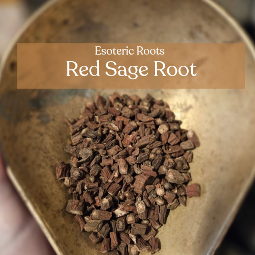 Dried Red Sage - Heart Healing & Emotional Balance | Esoteric Roots 20g