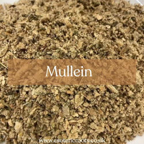 Mullein 25g - Protection & Divination Magic | Esoteric Roots