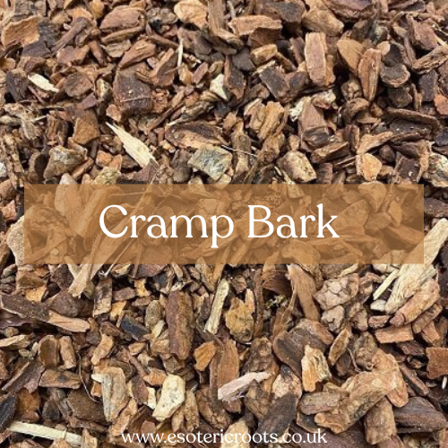 Cramp Bark 25g - Binding & Protection Magic | Esoteric Roots
