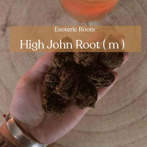 High John the Conqueror - Power & Success Magic | Esoteric Roots
