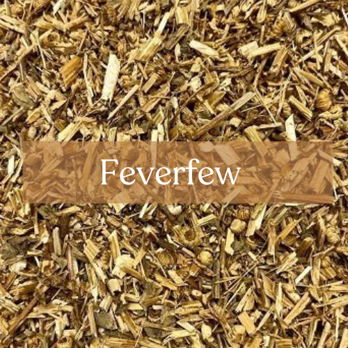 Feverfew - Sacred Herb for Protection and Purification