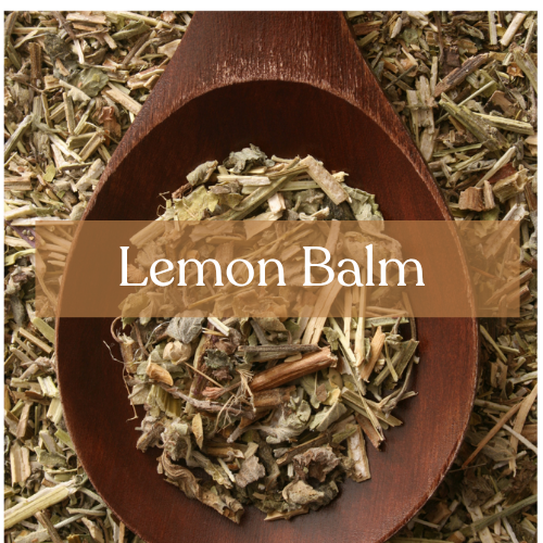 Lemon Balm - Love Magic & Healing Spells | Esoteric Roots