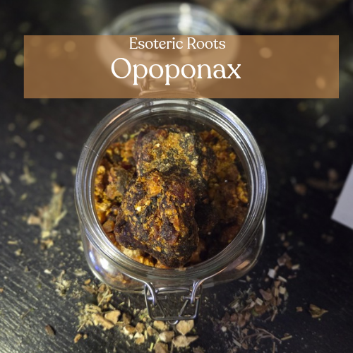 Opoponax Resin | Sacred Rituals & Meditation | Esoteric Roots 50g