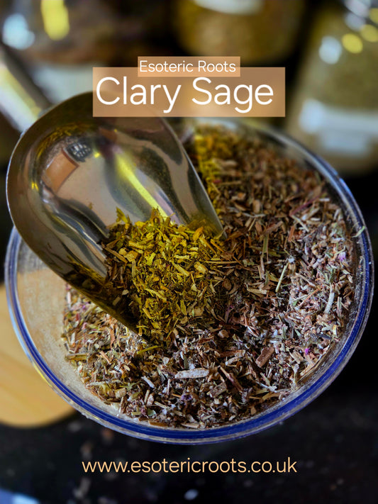 Clary Sage for Clarity & Psychic Vision | Esoteric Roots