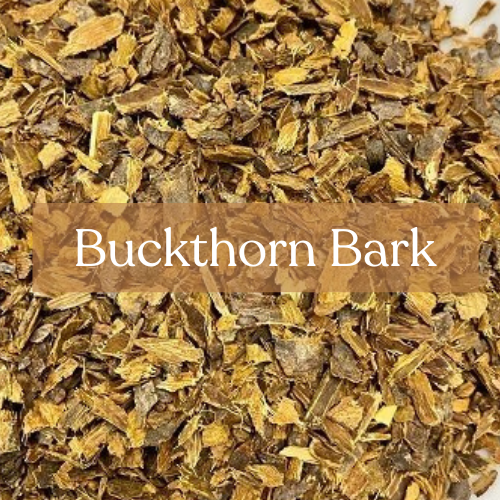Buckthorn Bark - Protection & Legal Magic | Esoteric Roots