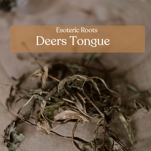 Deer's Tongue - Eloquence & Persuasion Magic | Esoteric Roots 10g
