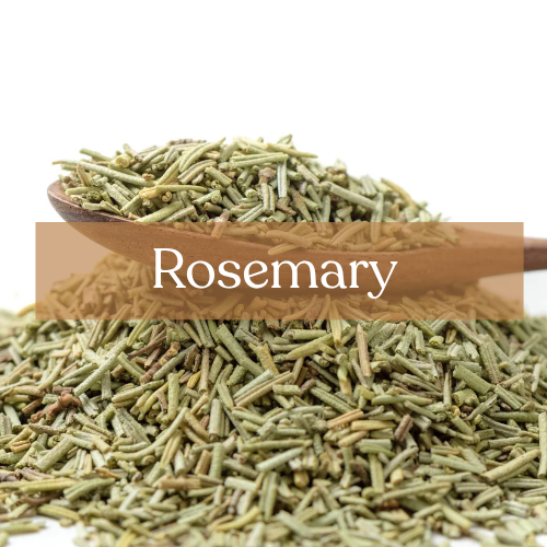 Rosemary - Memory & Protection Magic | Esoteric Roots