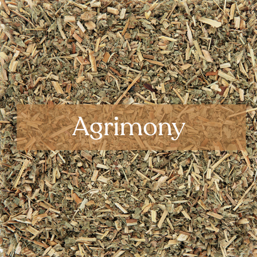 Agrimony - Protection & Abundance Magic | Esoteric Roots