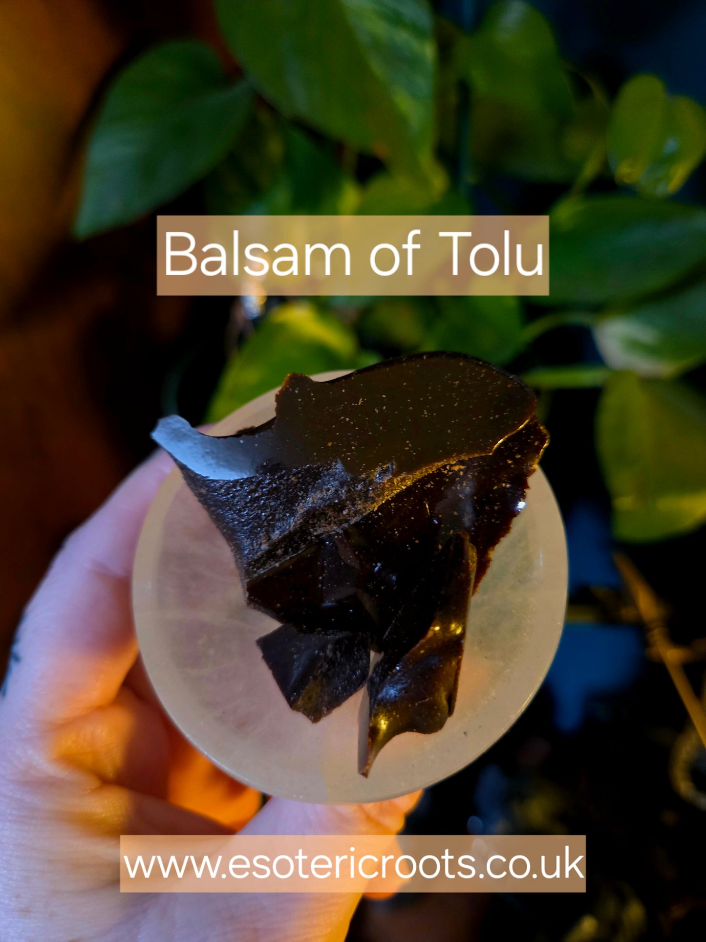 Tolu Balsam for Spiritual Healing & Love | Esoteric Roots 20g