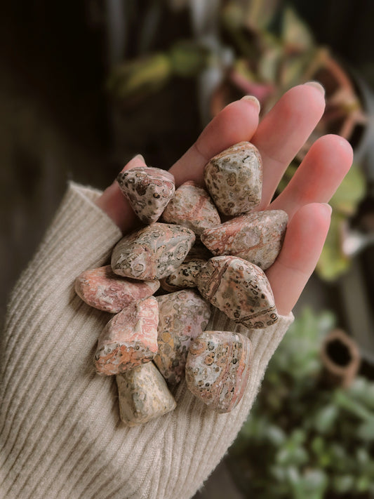 Leopard Skin Tumble