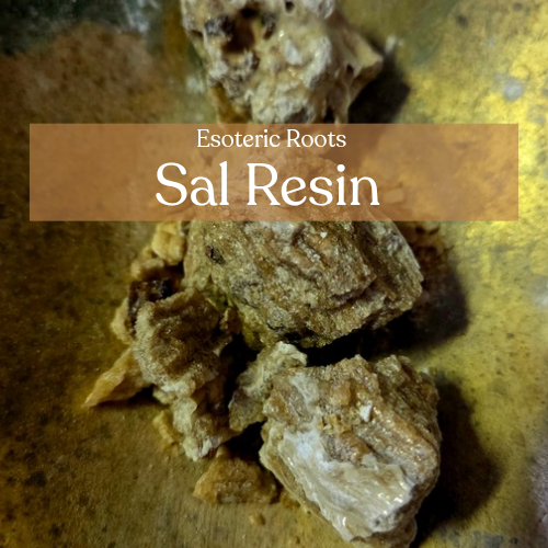 Sal Resin - Purification and Protection Rituals | Esoteric Roots 20g