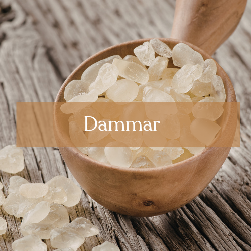 Dammar 50g - Sacred Resin for Purification Magic | Esoteric Roots