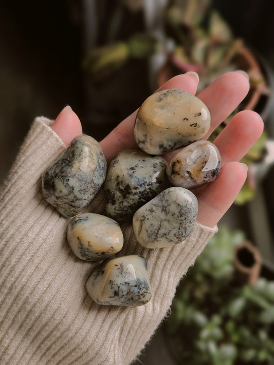 Merlinite Tumble ( Dendritic Agate) White